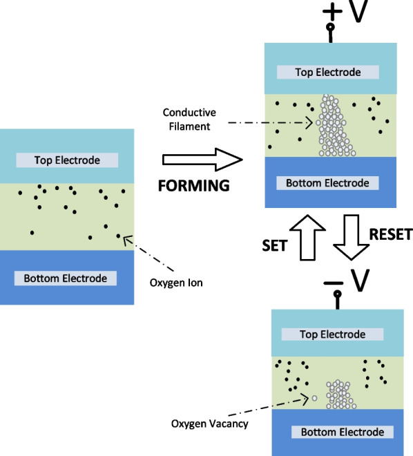 图2。VCM的开关机制利用氧化还原（氧化和还原）反应。（图片来源：美国国立卫生研究院/国家医学图书馆)