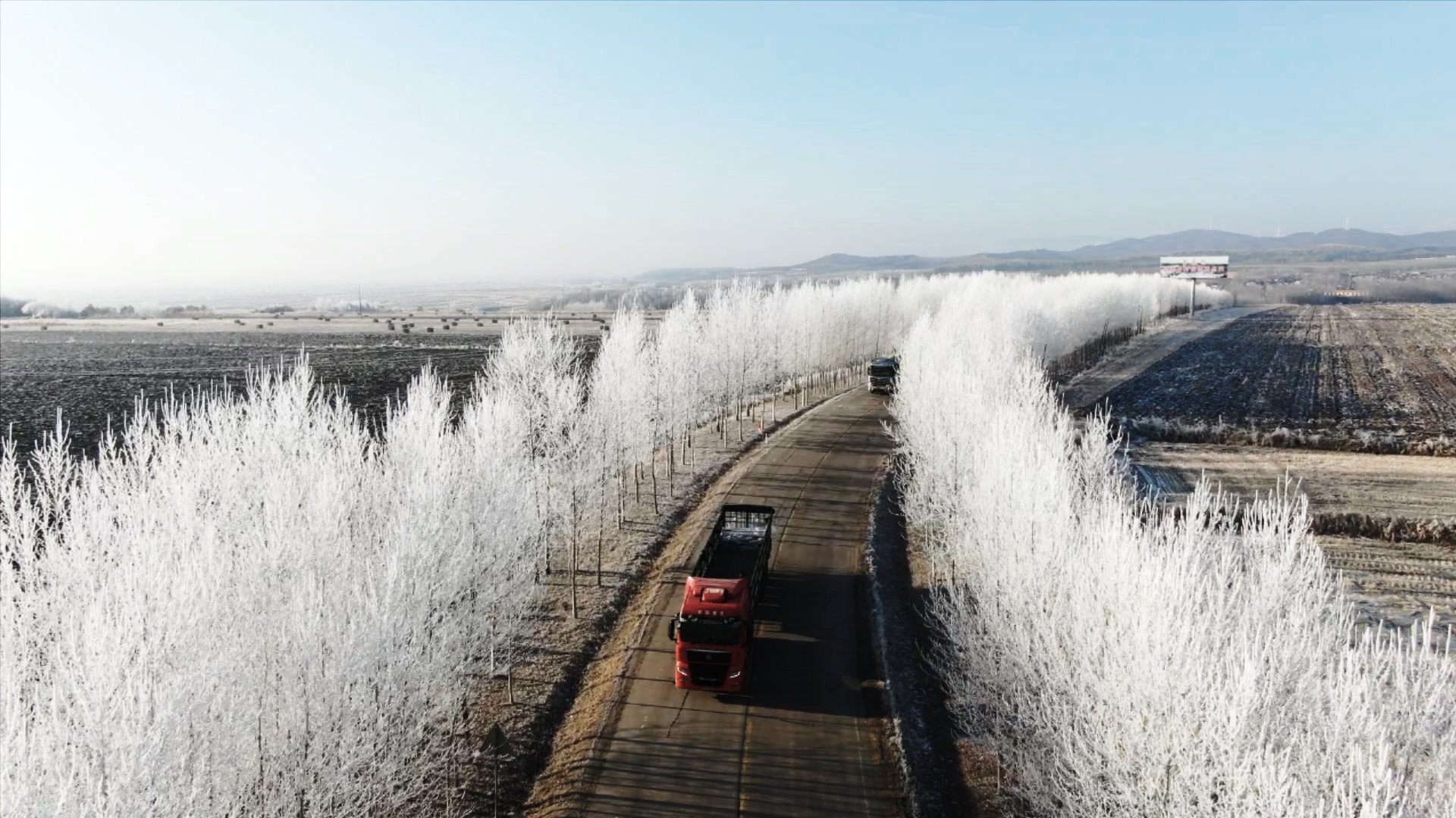 镜头丨春生冬至时