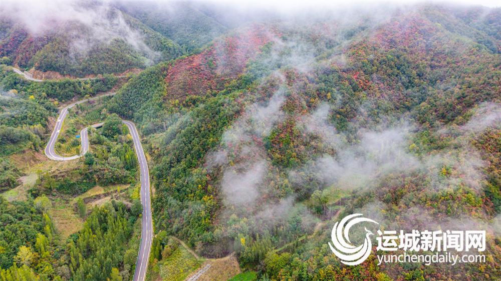 经济新闻滚动>正文>在夏县祁家河乡的深山里,七十多岁的朱清水用脚步