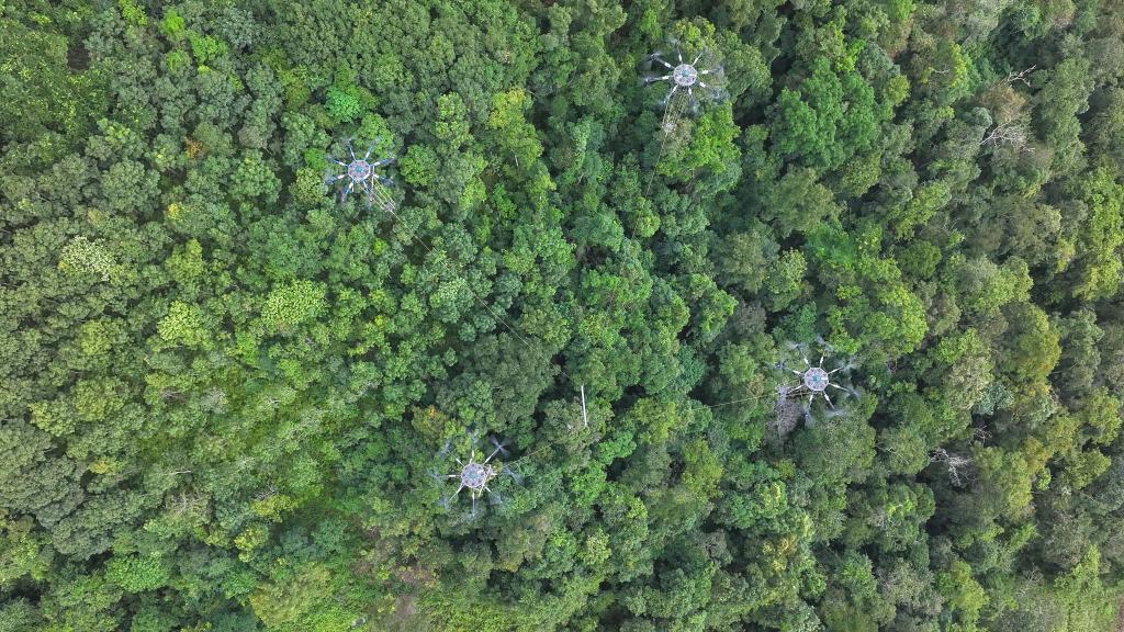 关键词seo优化好处