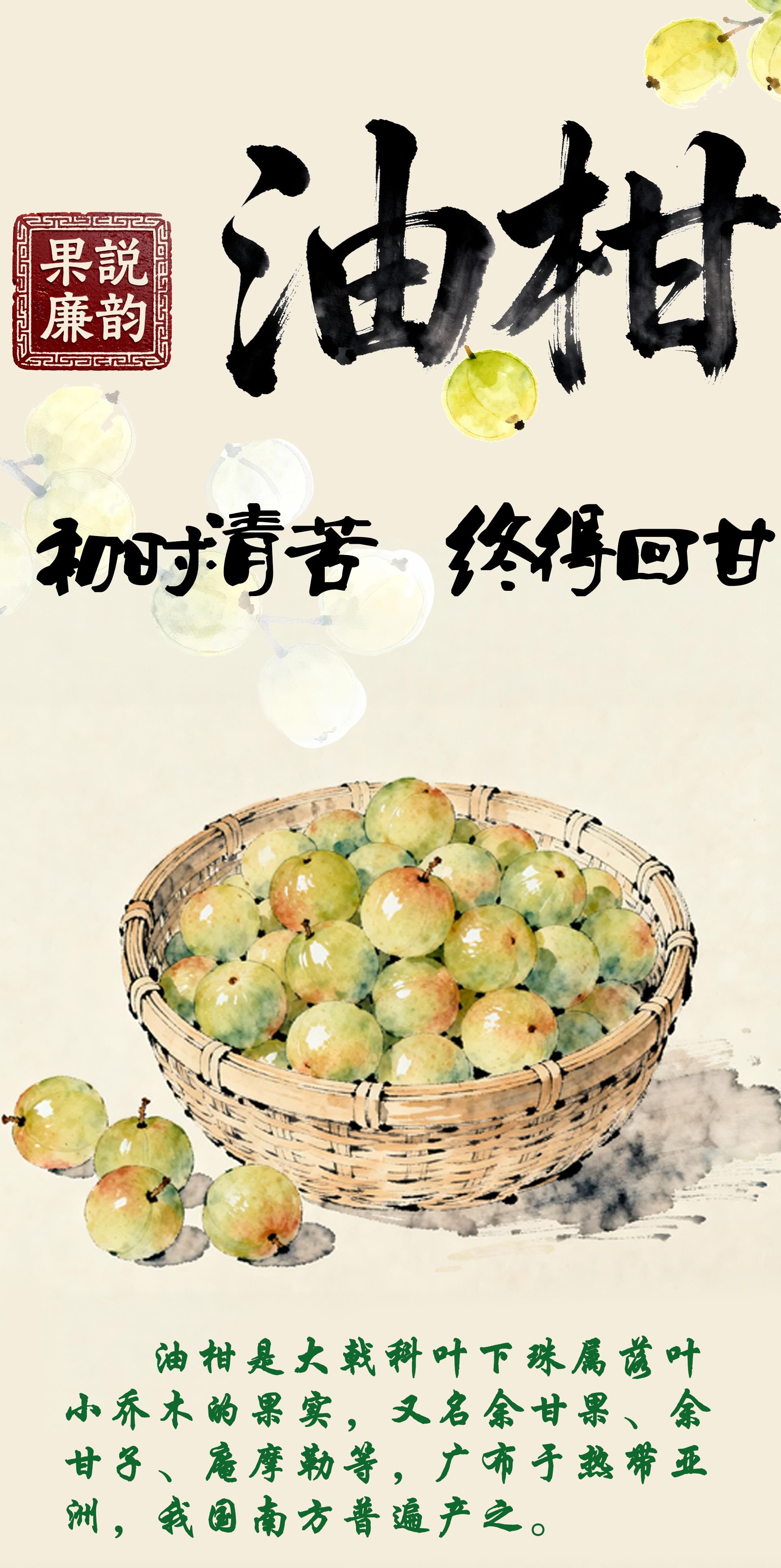 “果说”廉韵丨油柑：初时清苦 终得回甘