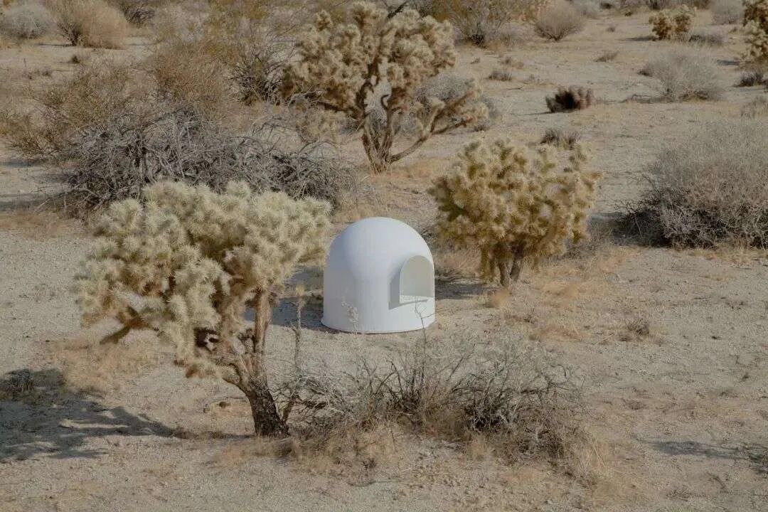 彼诞将猫砂盆进行了美学升级