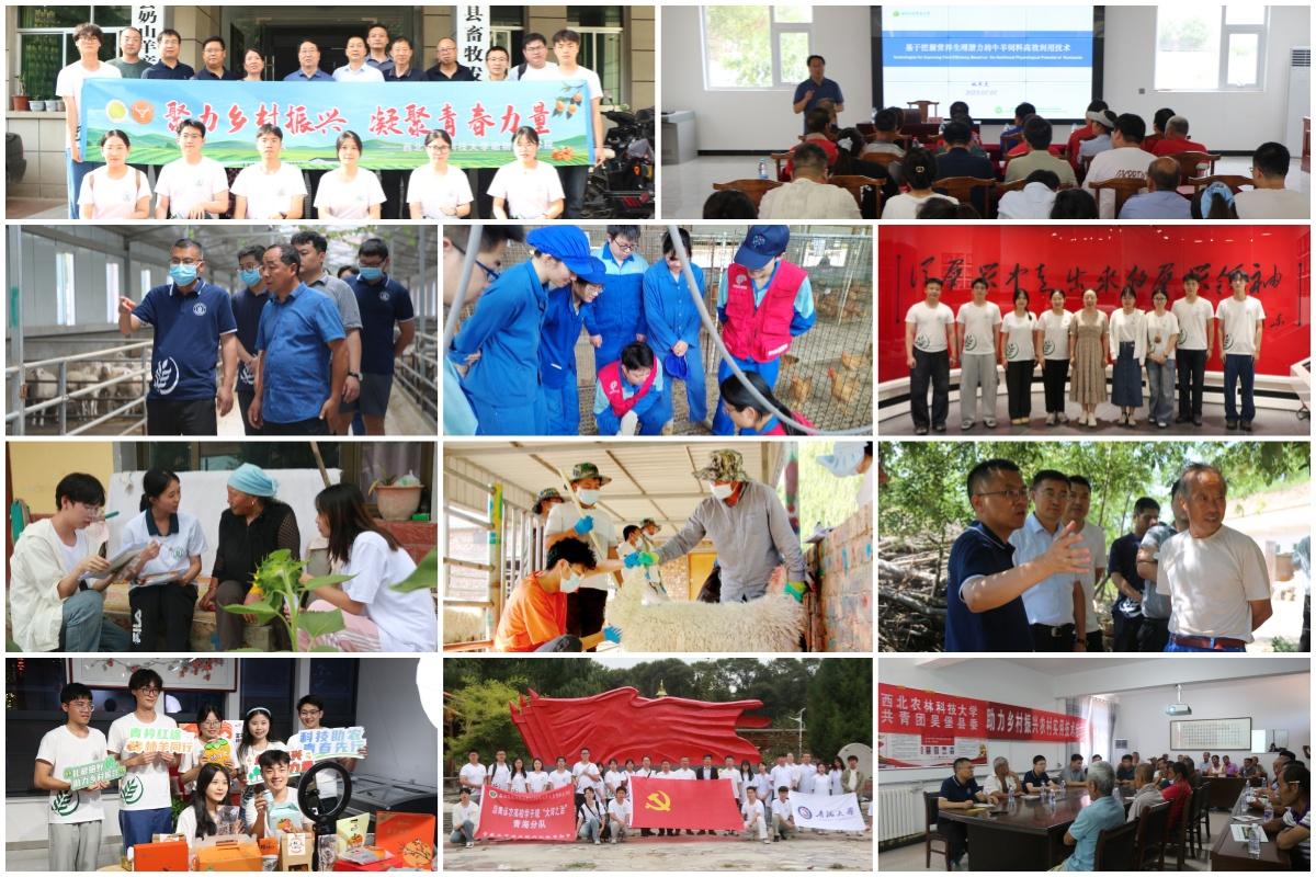 西农动科学院：用“三色”画笔 描绘新时代畜牧人才成长新图景