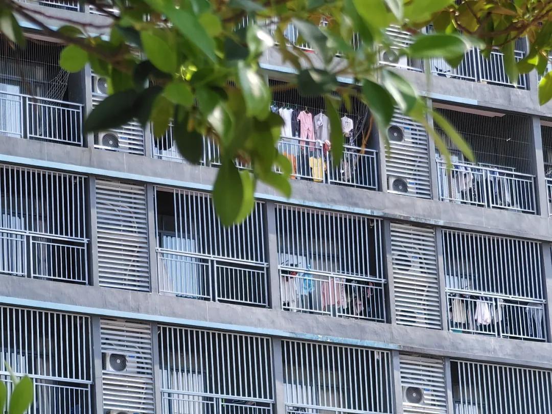 多国制裁引发挤兑危机，太子集团高管起底“电诈帝国”黑化史