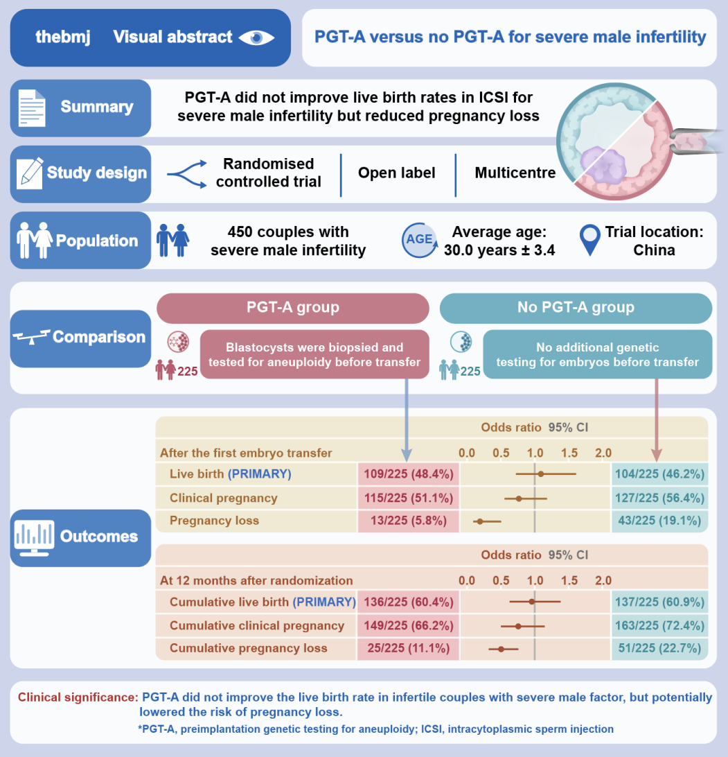 ▲ 研究的概括图