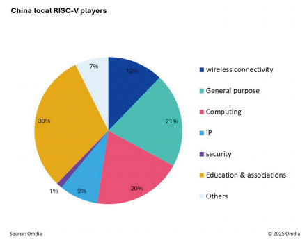 图5 中国本土RISC-V厂商份额