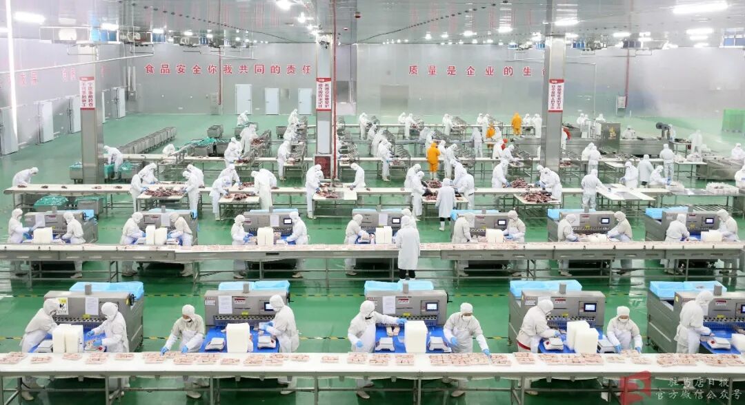 恒都集团10万吨牛肉精深加工项目已投产
