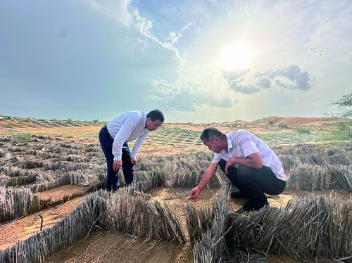 张志山（左）与同事在草方格观测植物。叶满山/摄