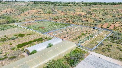 沙坡头站荒漠生态系统综合观测场。李子锋/摄