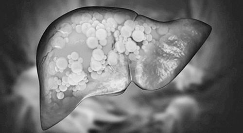 图片来源:Shutterstock