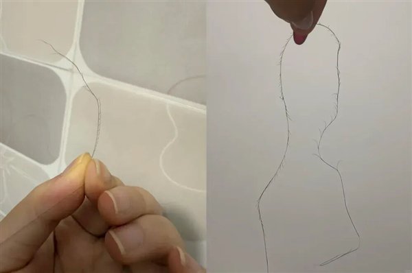 网友们奇形怪状的头发 图片来源：小红书截图