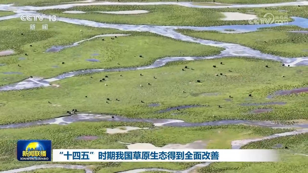 欧蓝德能跑50万公里吗 50万公里耐久性最好的车