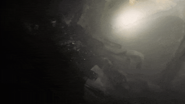 消防员及时将火扑灭。图源：浙江消防