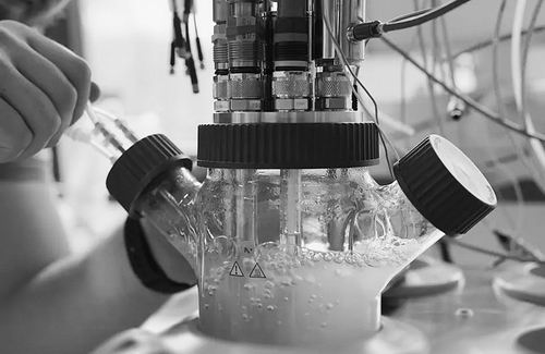 图片来源：Geisel