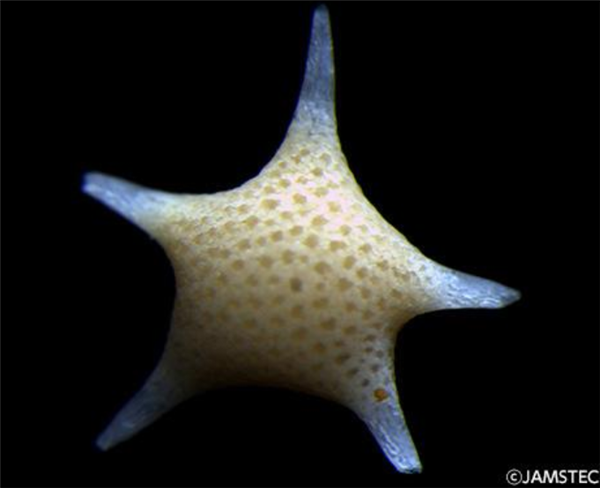 责任编辑：随心