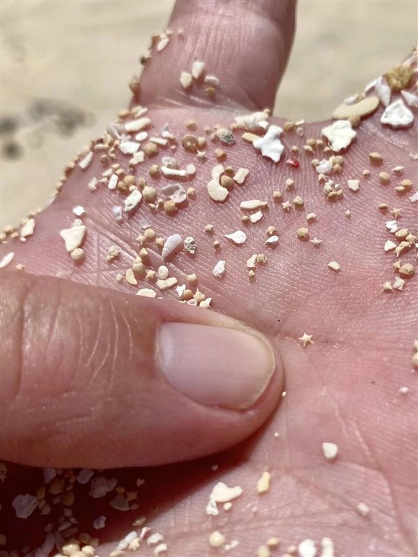 责任编辑：随心