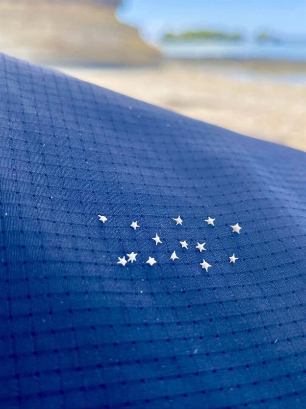 责任编辑：随心