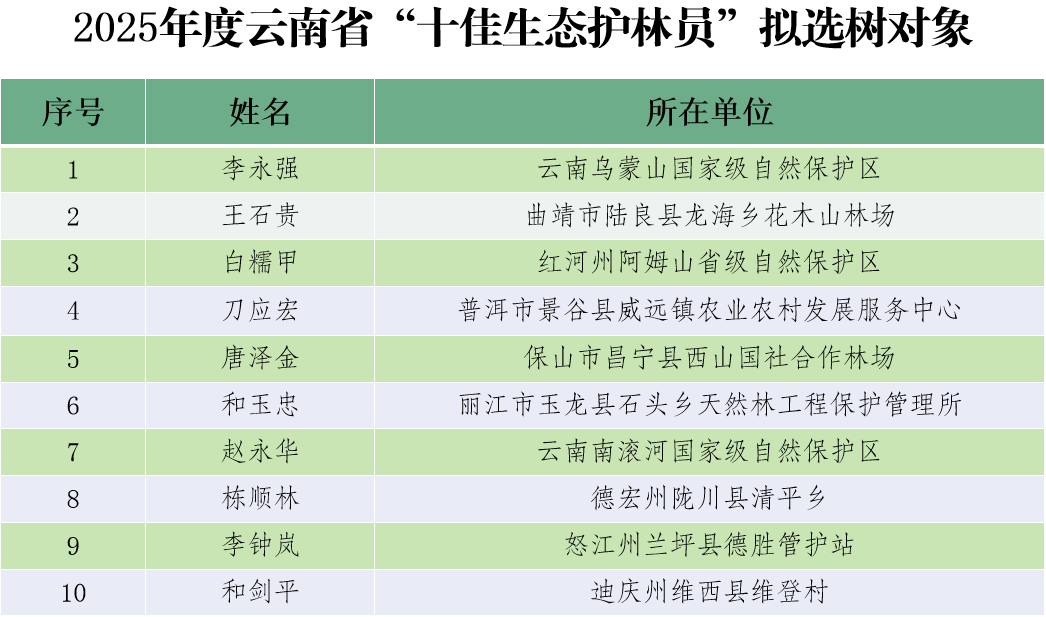 大众帕萨特新款多少钱