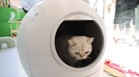 （上海市消保委供图）