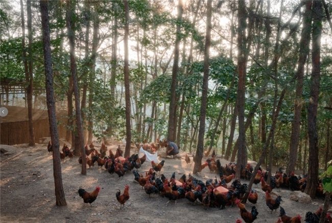 （三德子生态养殖基地）