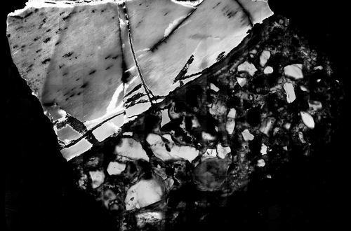 图片来源：TIMOTHY BROMAGE AND BIN HU