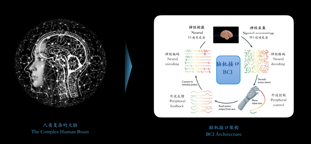 脑机接口原理｜图片来源：格式塔 CEO 彭雷在极客公园创新大会演讲