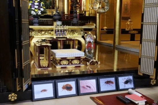 责任编辑：雪花