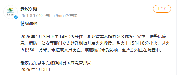 官方回应“湖北省美术馆办公区发生火灾”：馆藏物品未受影响