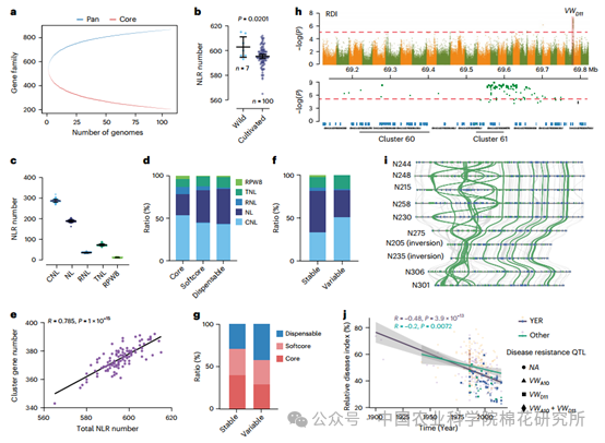 ▲ 陆地棉泛 NLR 分析
