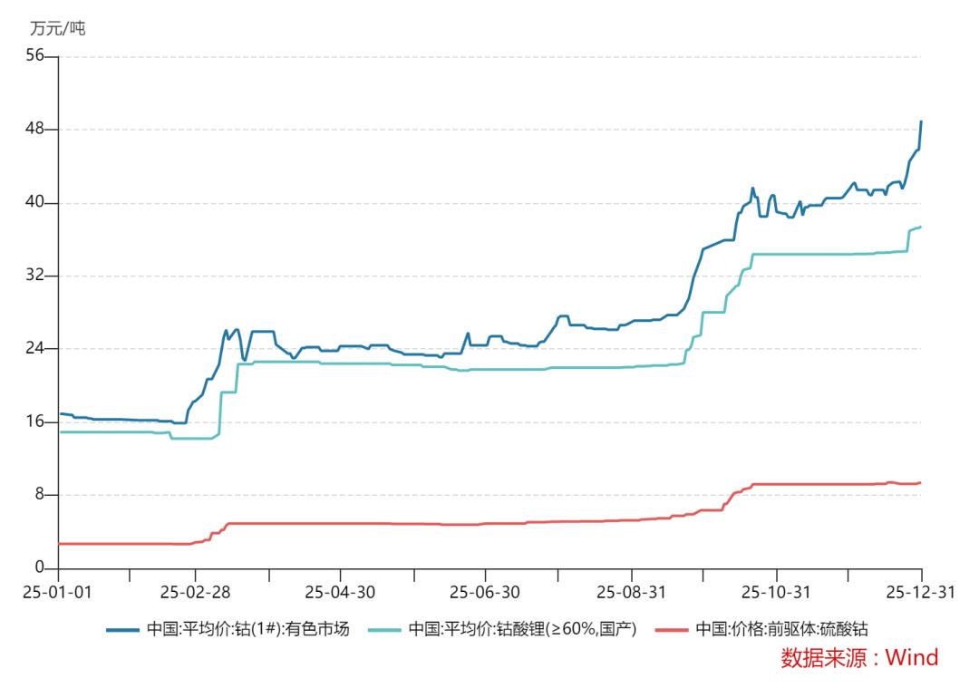 钴奶奶」价格狂飙190%，产业链加速「去钴化」