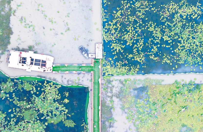 通过5118优化PPC广告效果 SEO优化和站外推广有哪些方式