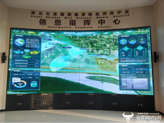 湖北移动科技守护湿地精灵 数智赋能长江大保护