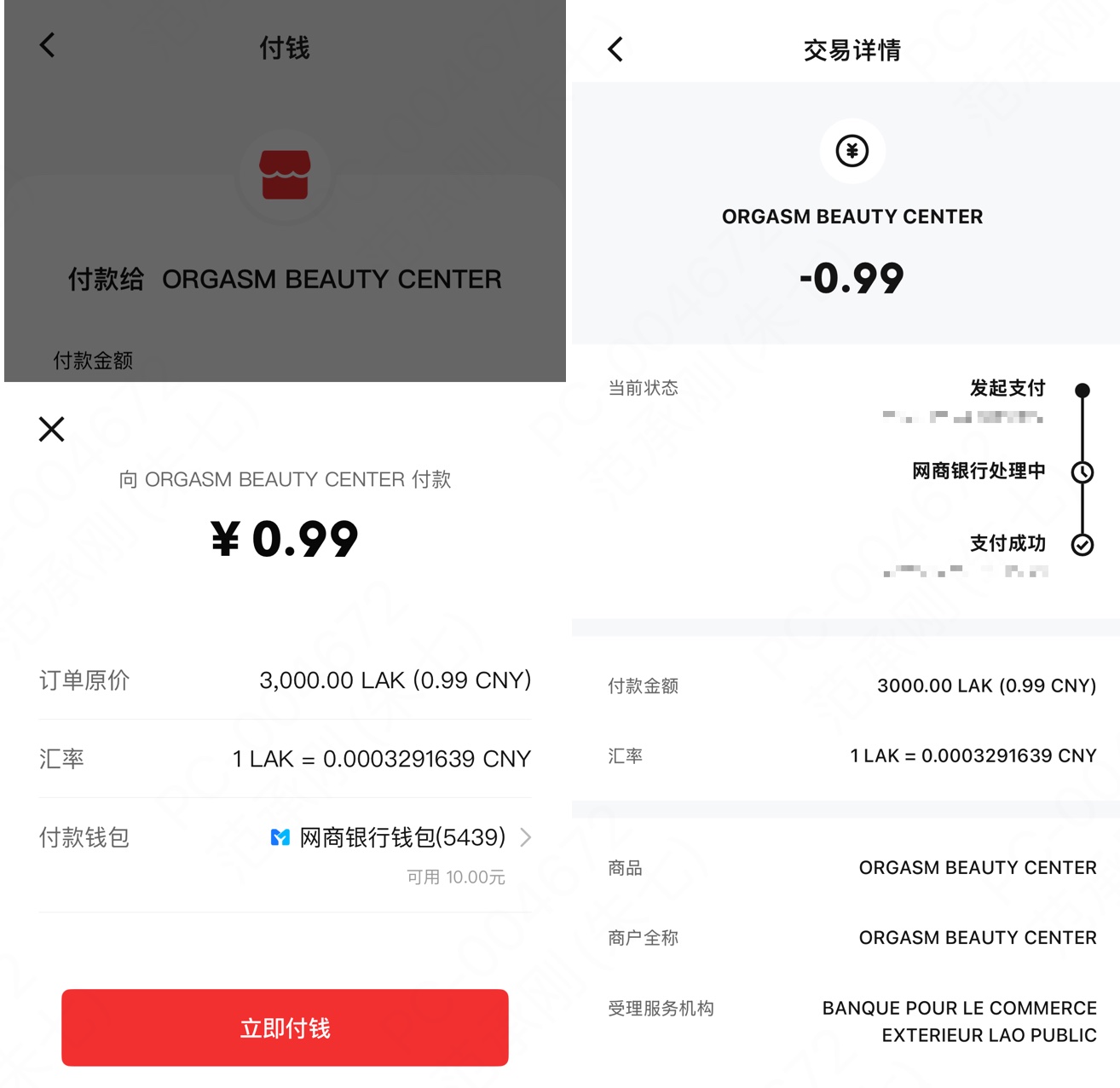 用户使用数字人民币App跨境扫码支付界面