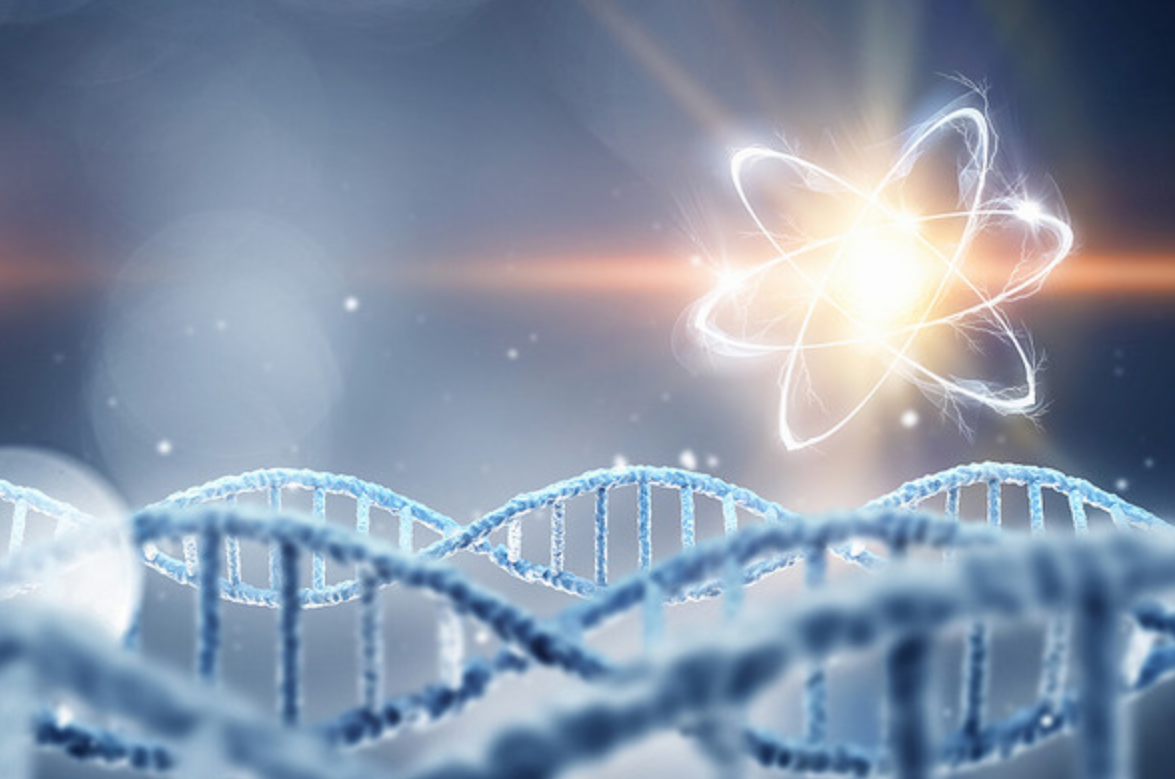 脑机接口商业化信号释放，医疗器械板块爆发，博拓生物等20CM涨停