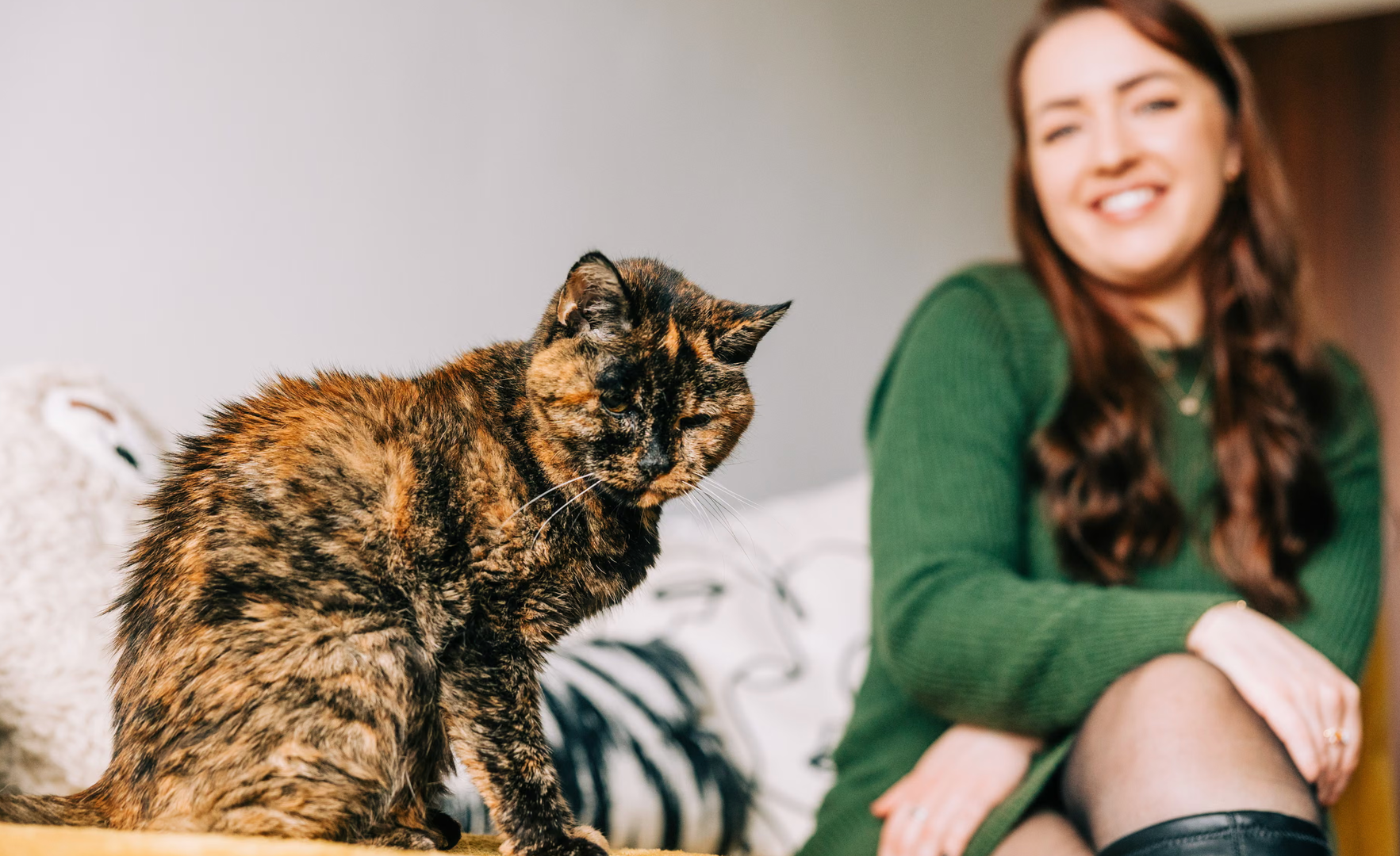 世界上最长寿的猫30“大寿”，依旧蹦跳活跃！出生时是流浪猫，前两任主人均已去世