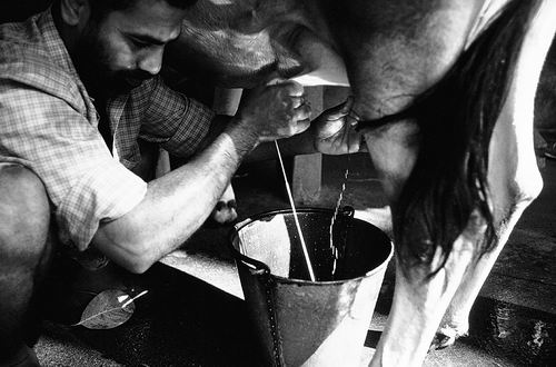 图片来源:STUART FREEDMAN/IN PICTURES LTD.