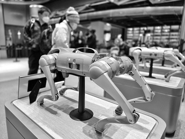 　　宇树Go2四足机器人通过4D超广角激光雷达和 GPT大模型，提升了机器人的感知与智能交互能力。