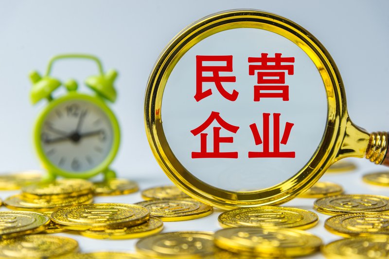 ▲依法保障民营企业的合法权益、促进民营经济更大发展，是我国经济社会高质量发展的重要内容。图/IC photo