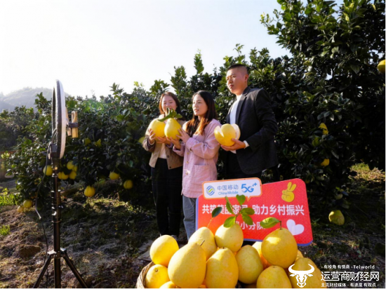 （在湖北宣恩县桃子岔村的柚园里，中国移动助农直播志愿者向网友推介贡水白柚）