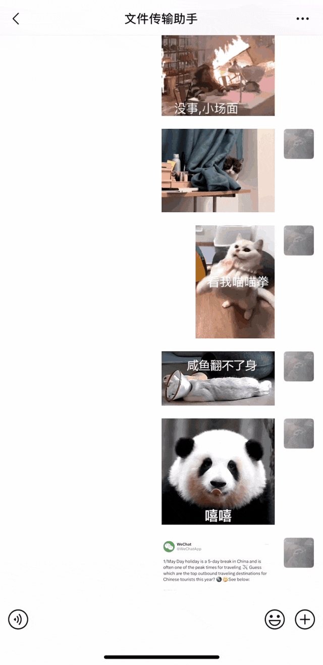 看不懂的外文内容，截图或拍照，微信有办法。