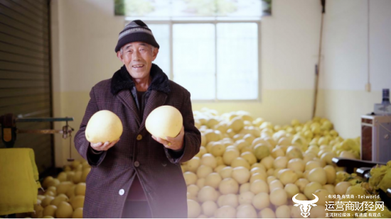 （贡水白柚喜获丰收，成为带动村民增收的“黄金果”）