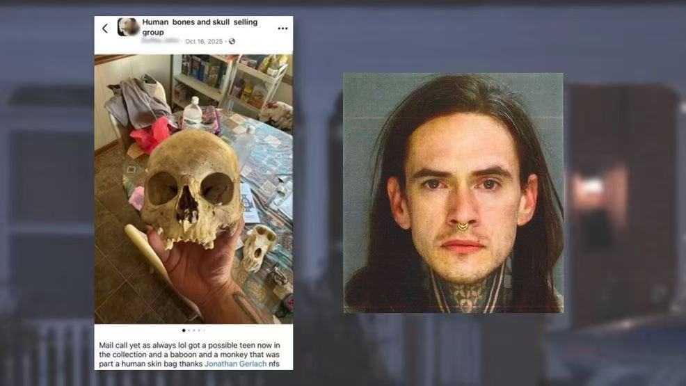 美国男子涉嫌出售“人皮包”等人类遗骸被捕，家中搜出大量人骨景象如同“恐怖电影”