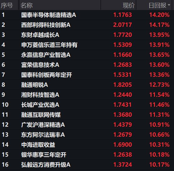 说明：主动权益混基1月12日净值涨幅超10%品种&nbsp; 来源：Wind