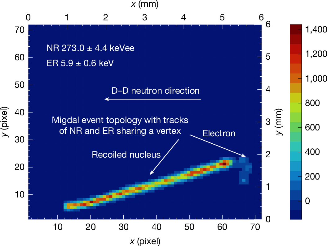 实验中发现的米格达尔效应事例展示。图源：论文配图