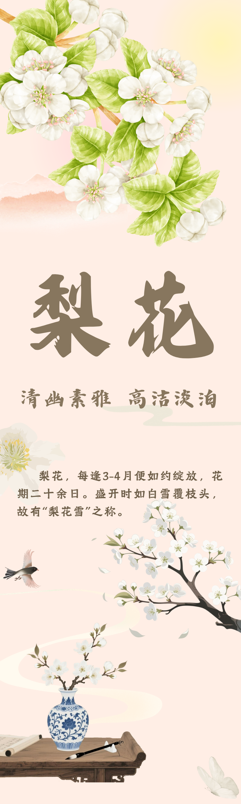 花寄廉语丨梨花：清幽素雅 高洁淡泊