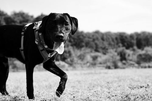 图片来源：pexels