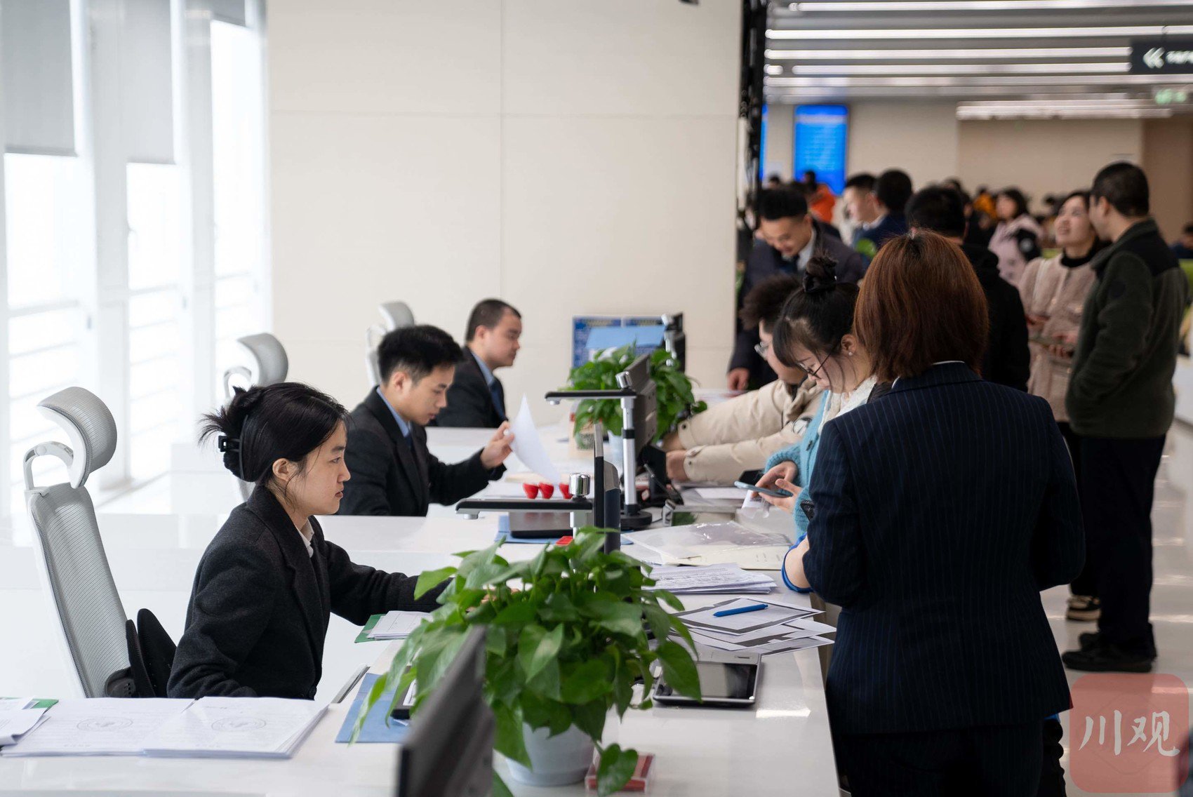  四川天府新区不动产登记窗口。四川在线记者李强 摄