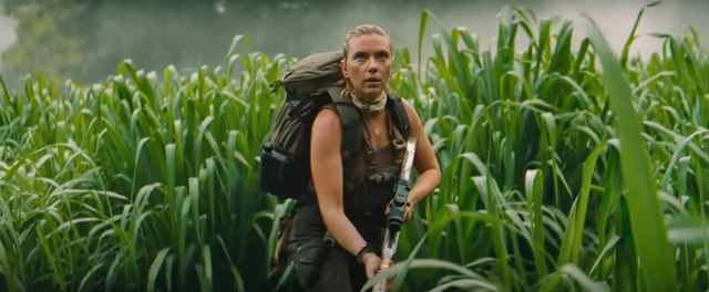 卫生间红色小虫是什么 12款手写字体免费下载