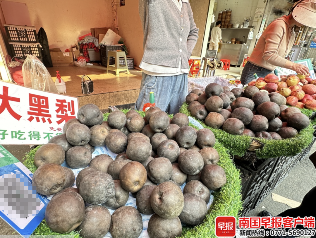 南宁市场在售的高价“网红黑梨”,是什么来头?专家揭秘_新浪财经_新浪网