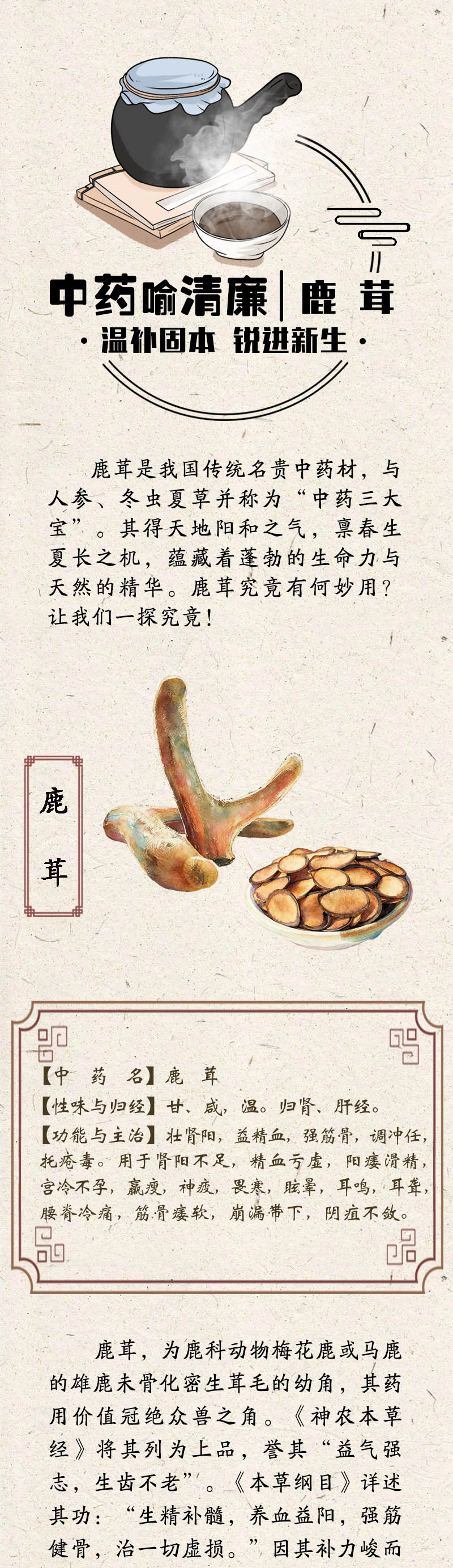 中药喻清廉丨鹿茸：温补固本 锐进新生